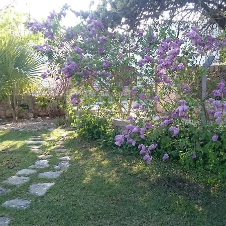 Bed & Breakfast Trulli Petra Chiara Locorotondo