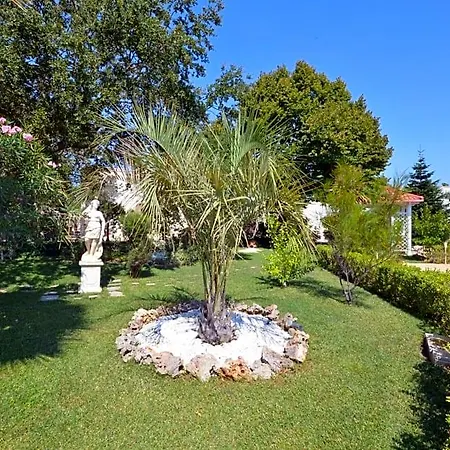 Bed & Breakfast Trulli Petra Chiara